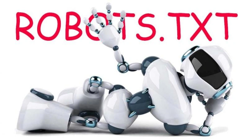 Что такое robots.txt и зачем он нужен в Брянске